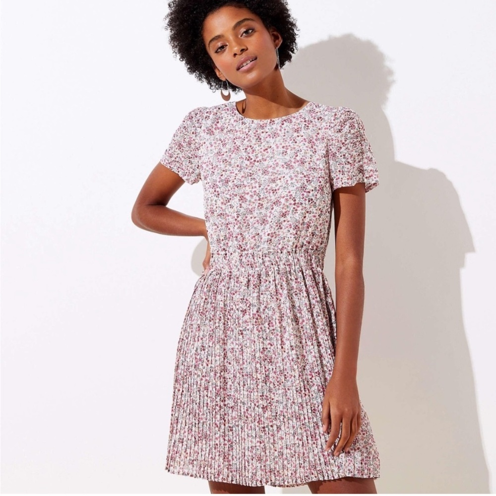Loft Garden Pleated Flare Dress